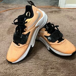 Nike Giannis Zoom Freak 3 TB Orange Black Shoes Basketball